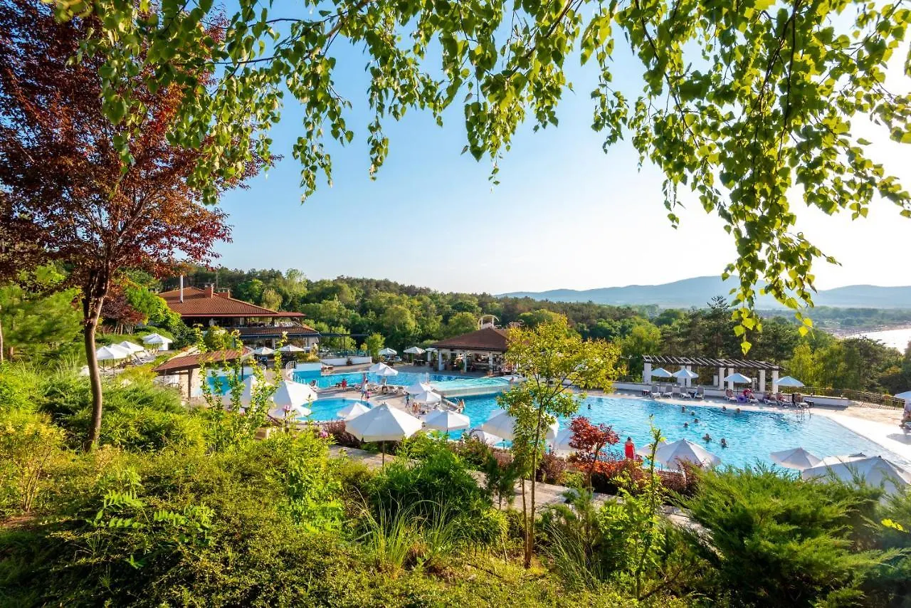Santa Marina - Forest Relax Apartment location